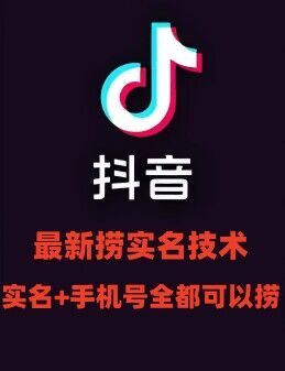 最新技术抖音捞实名+捞手机号技术，抖音直播封禁释放十名/手机号，直接替换出来!-财兔窝项目网