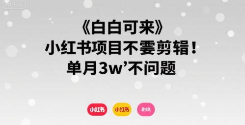小白可来 小红书项目不需要剪辑 单月3w不是问题-财兔窝项目网
