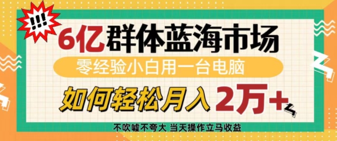 6亿群体蓝海市场，零经验小白用一台电脑，如何轻松月入过w【揭秘】-财兔窝项目网
