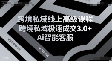 跨境私域线上高级课程，跨境私域极速成交3.0+Ai智能客服-财兔窝项目网