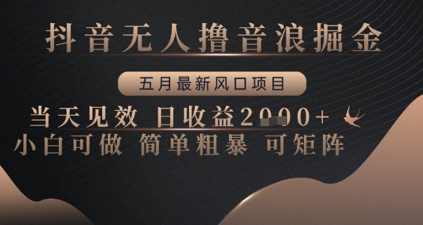 抖音无人撸音浪掘金，五月最新风口项目，当天见效，日收益多张，小白可做简单粗暴可矩阵【揭秘】-财兔窝项目网
