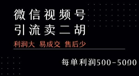 视频号卖二胡教程，利润大 易成交 售后少，一单利润5张+-财兔窝项目网