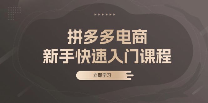 拼多多电商新手快速入门课程：涵盖基础、实战与选款，助力小白轻松上手-财兔窝项目网