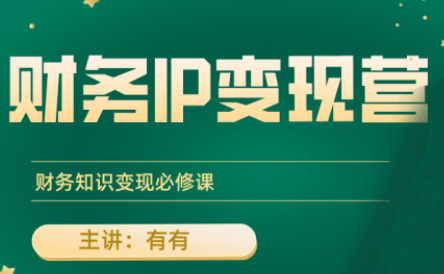 有有老师·财务IP变现营，财务知识变现必修课-财兔窝项目网