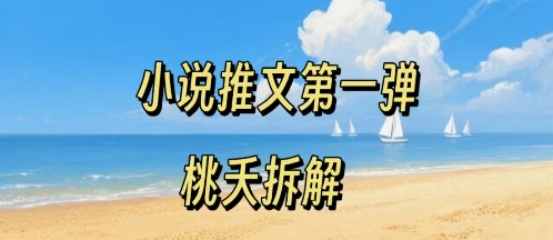 小说推文项目操作全流程第一弹，0粉就能做，门槛低非常适合新手-财兔窝项目网