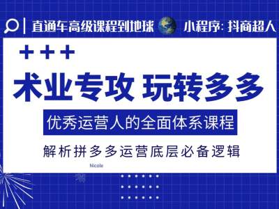 术业专攻玩转多多，优秀运营人的全面体系课程，解析拼多多运营底层必备逻辑-财兔窝项目网