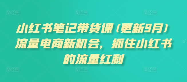 小红书笔记带货课(更新25年4月)流量电商新机会，抓住小红书的流量红利-财兔窝项目网