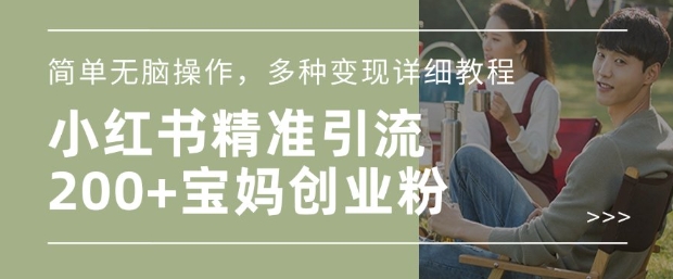 小红书混剪日引200+宝妈创业粉，简单无脑操作，多种变现详细教程-财兔窝项目网