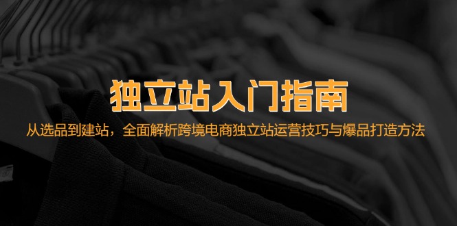 独立站入门指南：从选品到建站，全面解析跨境电商独立站运营技巧与爆品…-财兔窝项目网