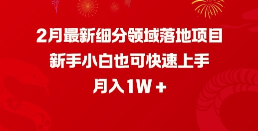 2月最新细分领域落地项目，新手小白也可快速上手，月入1W-财兔窝项目网