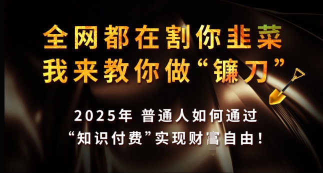 全网都在割你韭菜，我来教你做镰刀，2025年普通人如何通过 知识付费 实现财F自由【揭秘】-财兔窝项目网