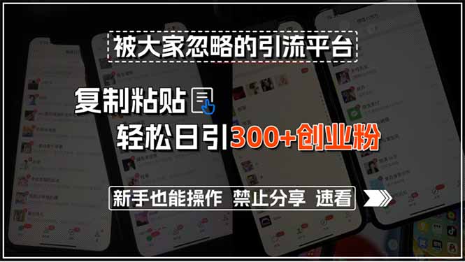 被大家忽略的引流平台，复制粘贴轻松日引300+创业粉，新手也能操作，禁…-财兔窝项目网