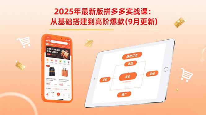 2025年最新版拼多多实战课：从基础搭建到高阶爆款(9月更新-财兔窝项目网