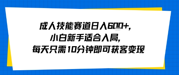 成人技能赛道日入多张，小白新手适合入局，每天只需10分钟即可获客变现-财兔窝项目网