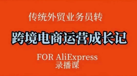 跨境电商速卖通运营课，​运营方法论+后台实操，逻辑清晰-财兔窝项目网