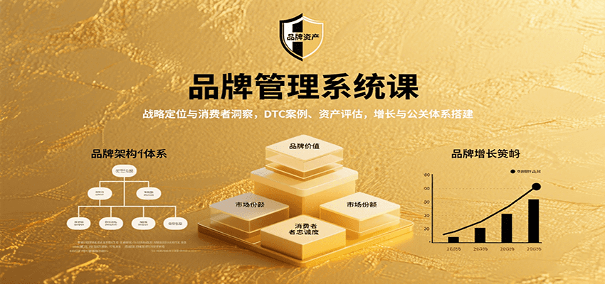品牌管理系统课：战略定位与消费者洞察，DTC案例、资产评估，增长与公关体系搭建-财兔窝项目网