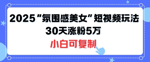不露脸也能火！2025“氛围感美女”短视频玩法，30天涨粉5W小白可复制-财兔窝项目网