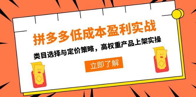 拼多多低成本盈利实战，类目选择与定价策略，高权重产品上架实操-财兔窝项目网