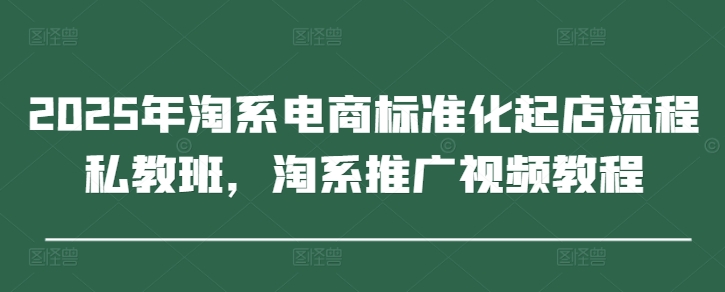 2025年淘系电商标准化起店流程私教班，淘系推广视频教程-财兔窝项目网