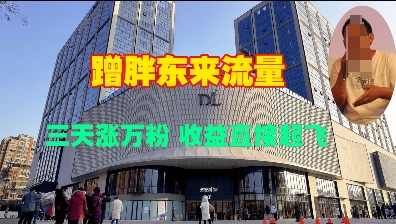 蹭胖东来流量，三天涨万粉，收益直接起飞-财兔窝项目网