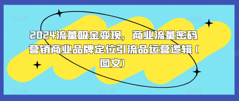 2024流量吸金变现，商业流量密码营销商业品牌定位引流品运营逻辑(图文)-财兔窝项目网