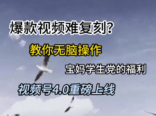 视频号4.0重磅上线，爆款视频难复刻？教你无脑操作宝妈学生党的福利【揭秘】-财兔窝项目网