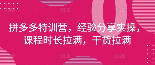 拼多多特训营，经验分享实操，课程时长拉满，干货拉满(更新25年4月)-财兔窝项目网