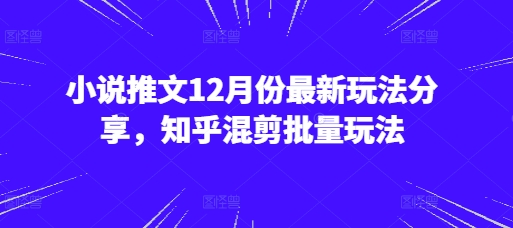 小说推文12月份最新玩法分享，知乎混剪批量玩法-财兔窝项目网