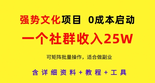 强势文化项目，一个社群收入25个W，0成本启动，可矩阵批量操作，原创详细实操教程-财兔窝项目网