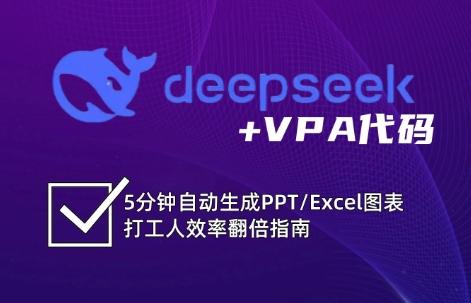 DeepSeek从入门到精通：解锁Excel和VBA高效办公新技能(更新)-财兔窝项目网