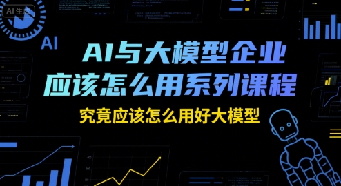 AI与大模型企业应该怎么用系列课程，究竟应该怎么用好大模型-财兔窝项目网