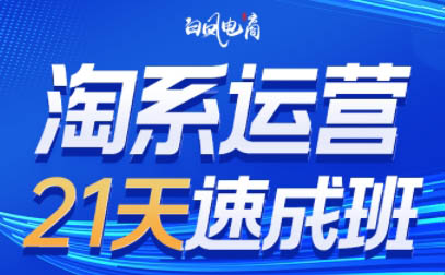 白凤电商·淘系运营21天速成班(更新5月)-财兔窝项目网