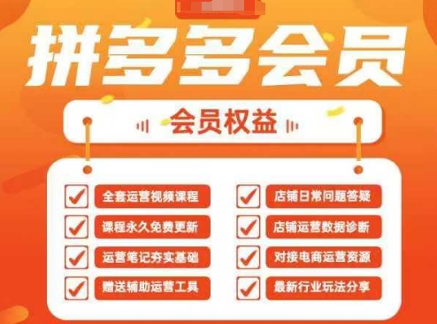 2025拼多多运营实战课，40节全流程教学，覆盖拼多多运营全链路-财兔窝项目网