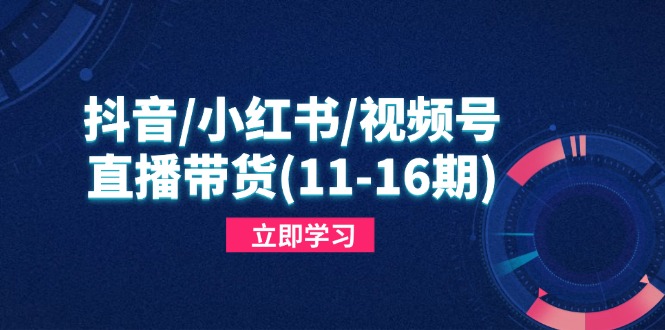 抖音/小红书/视频号/直播带货(11-16期-财兔窝项目网
