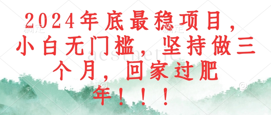 2024年底最稳项目，小白无门槛，坚持做三个月，回家过肥年！！！-财兔窝项目网