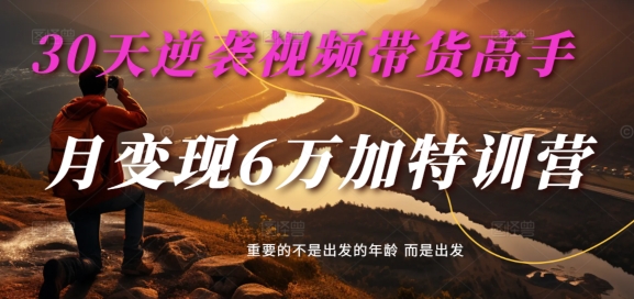 30天逆袭视频带货高手，单月变现6万加特训营-麦子甜-财兔窝项目网
