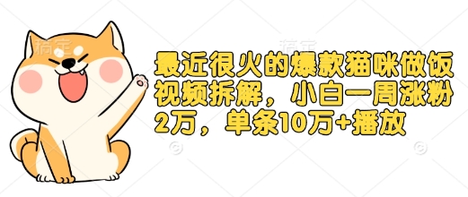 最近很火的爆款猫咪做饭视频拆解，小白一周涨粉2万，单条10万+播放(附保姆级教程)-财兔窝项目网