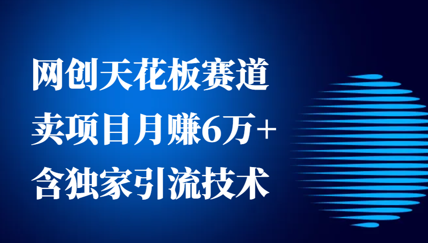 网创天花板赛道，卖项目月赚6万+，含独家引流技术(共26节课)-财兔窝项目网