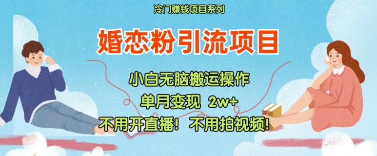 小红书婚恋粉引流，不用开直播，不用拍视频，不用做交付【揭秘】-财兔窝项目网