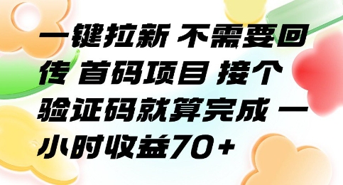 一键拉新 不需要回传 首码项目 接个验证码就算完成 一小时收益70+【揭秘】-财兔窝项目网