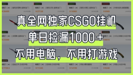 真全网独家CSGO挂G，单日捡漏1k+【揭秘】-财兔窝项目网