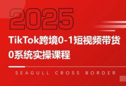 大亿老师·TikTok跨境0-1短视频带货-财兔窝项目网