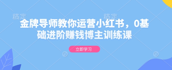 金牌导师教你运营小红书，0基础进阶赚钱博主训练课-财兔窝项目网