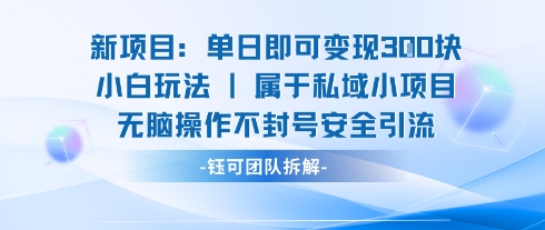 新项目单日即可变现3张的小白玩法无脑操作不封号安全引流-财兔窝项目网