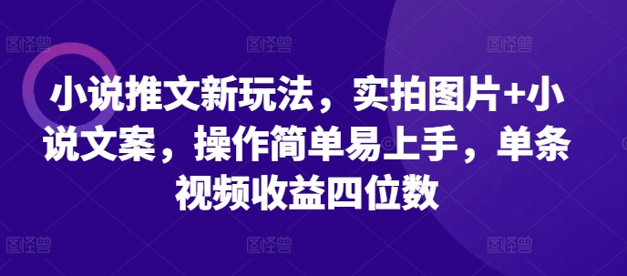 小说推文新玩法，实拍图片+小说文案，操作简单易上手，单条视频收益四位数-财兔窝项目网
