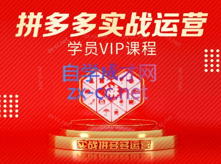 推易电商·拼多多实战运营课(更新2025月)-财兔窝项目网