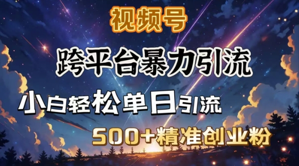 跨平台暴力引流，私域完美闭环，日引500+精准创业粉-财兔窝项目网