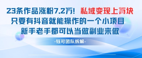 抖音私域项目23条作品涨粉7.2W，私域变现1W-财兔窝项目网