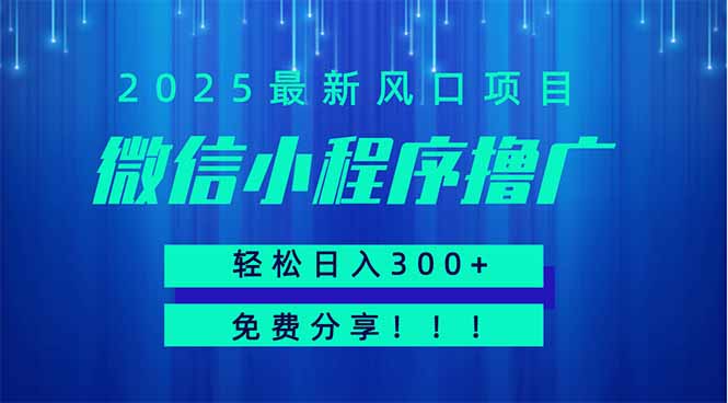 微信小程序撸广，最新风口项目，日入300+ 免费分享 可批量操作 小白可…-财兔窝项目网