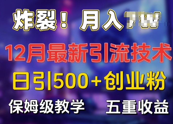炸裂!揭秘12月最新日引流500+精准创业粉，多重收益保姆级教学-财兔窝项目网